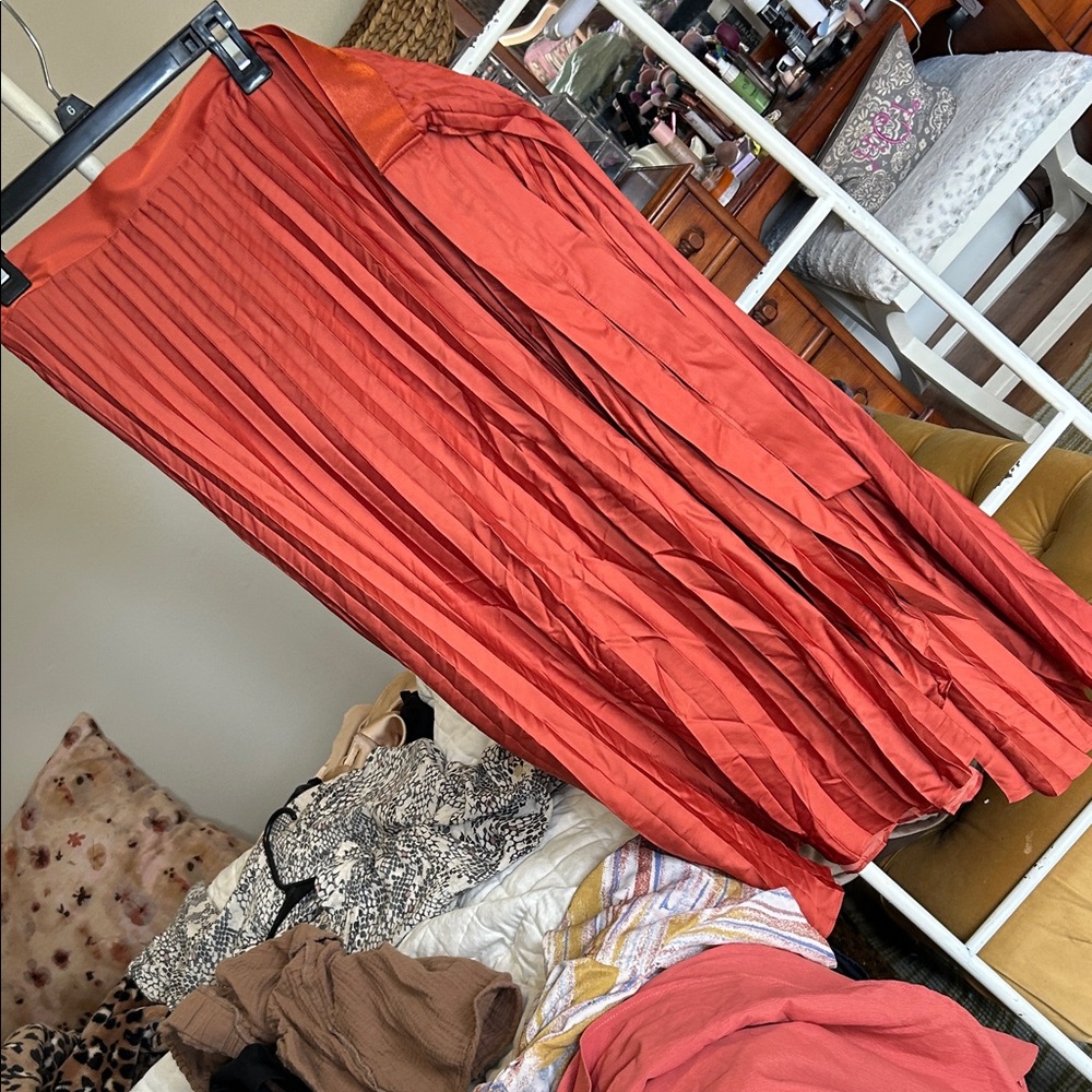 Express Terracotta Pleated Maxi Skirt